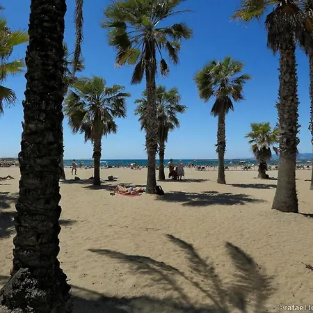 Zeus Alexis Two * Salou